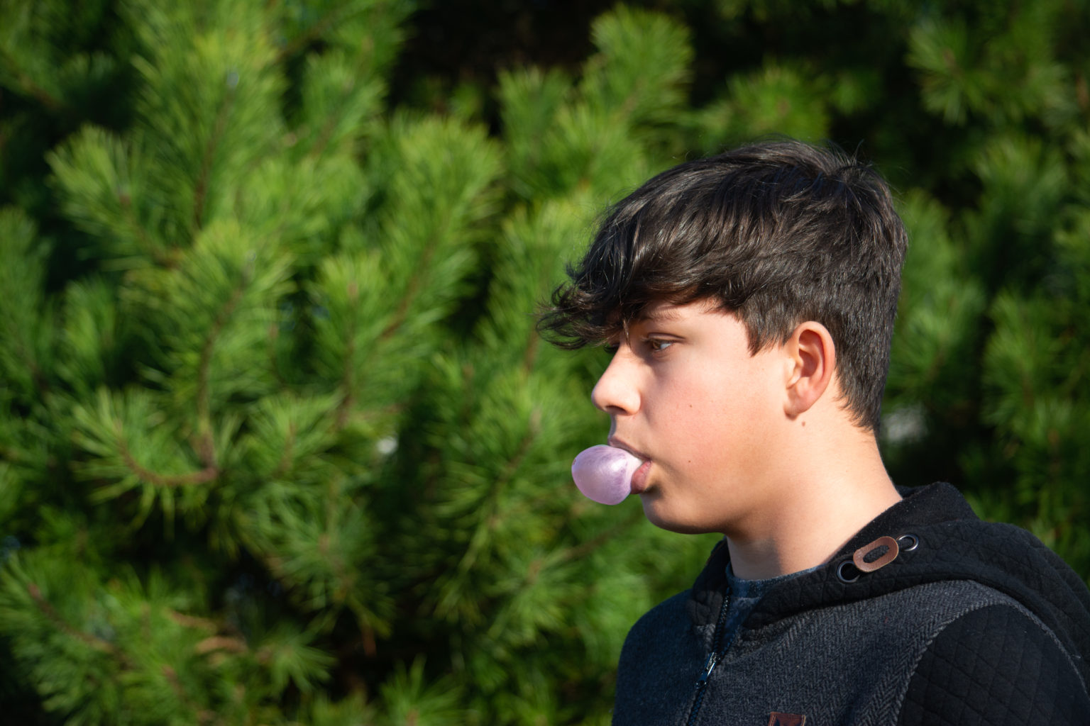 Colour image of teen boy blowing a bubblegum bubble with a backdrop of evergreen trees on a sunny day